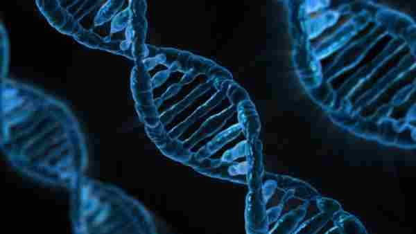 科学家用人工合成DNA创造“全新微生物”：或发明新药物