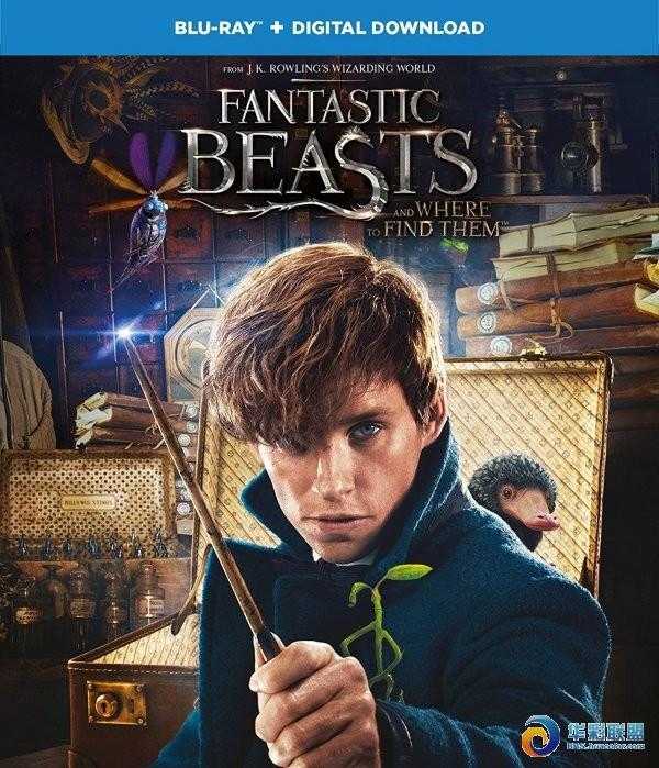 神奇动物在哪里  Fantastic.Beasts.and.Where.to.Find.Them.2016.720p/1080p.BluRay 高清下载