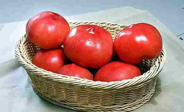 生吃西红柿可以吗？盘点西红柿4大常见错误吃法_西红柿能否生吃_西红柿有哪些吃法-