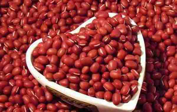 常吃红豆大有益处|腹泻|红豆|减肥