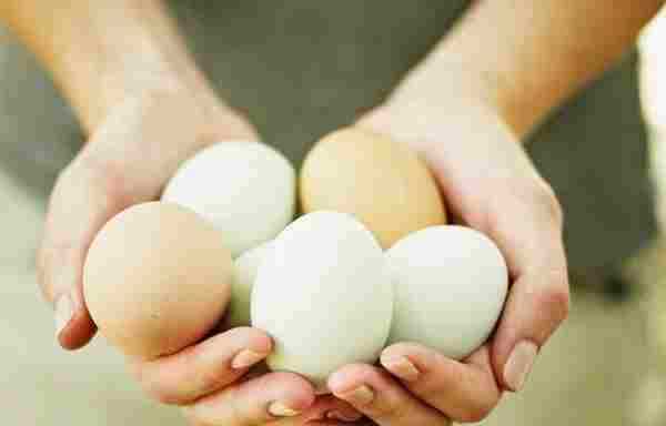 吃鸡蛋常犯8个错|鸡蛋|荷包蛋