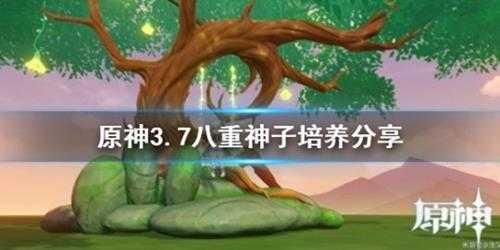 《原神》3.7八重神子培养分享 八重神子怎么培养?