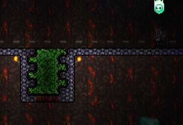 《泰拉瑞亚》叶绿怎么种 叶绿矿种植详解