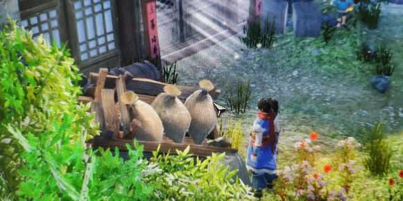 《天命奇御》沙参在哪 药材沙参获取方式介绍