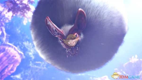 《怪物猎人：世界》浮空龙打法心得详解 浮空龙怎么打