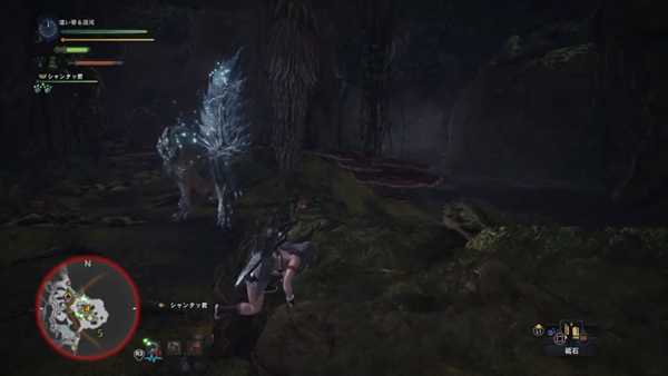 《怪物猎人：世界》飞雷龙详细打法心得 飞雷龙怎么打