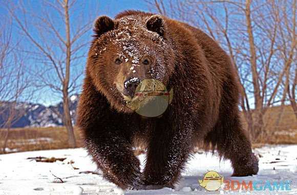 《漫漫长夜》真相探寻 游戏背景详细分析