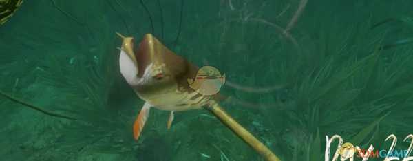 《绿色地狱》滤水器使用方法介绍