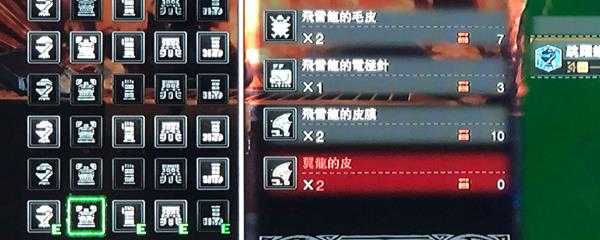 怪物猎人世界翼龙的皮在哪