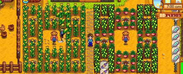 星露谷物语艾米丽喜欢什么