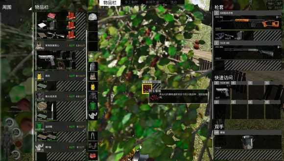 《人渣》野外野果采集种类一览