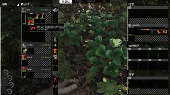 《人渣》野外野果采集种类一览