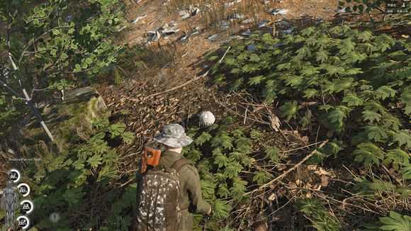 《人渣》野外野果采集种类一览