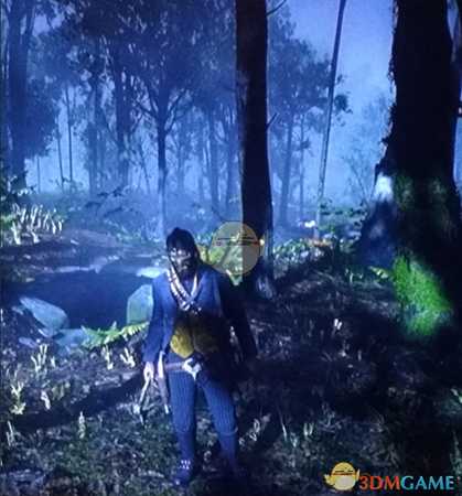 《荒野大镖客2》维京战斧及维京头盔获取方法介绍