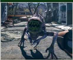 《辐射76》全生物图鉴