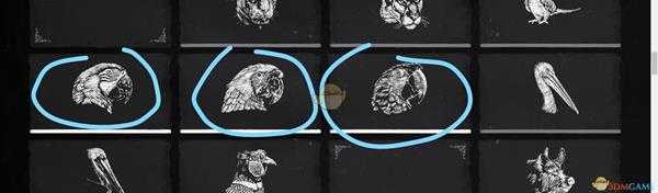 《荒野大镖客2》瓜马岛特有动物捕捉攻略