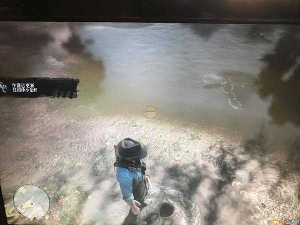 《荒野大镖客2》小龙虾位置分享