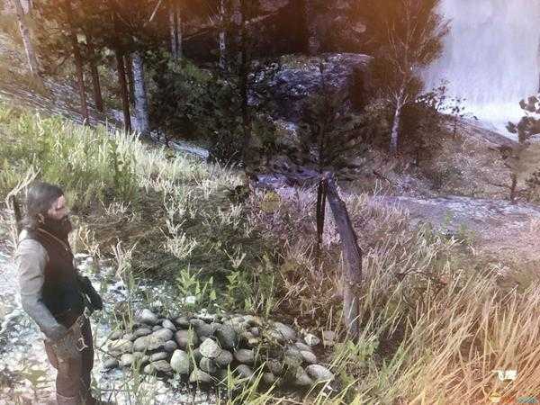 《荒野大镖客2》提升马匹默契度方法介绍