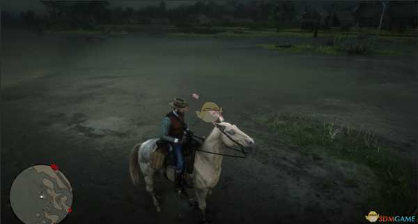 《荒野大镖客2》异宝收集任务鹭羽毛收集心得分享