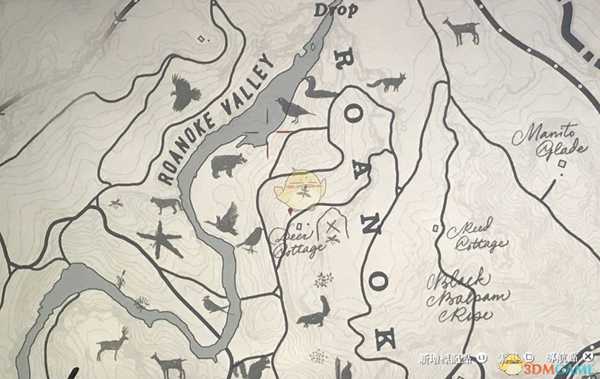 《荒野大镖客2》采药地点分享