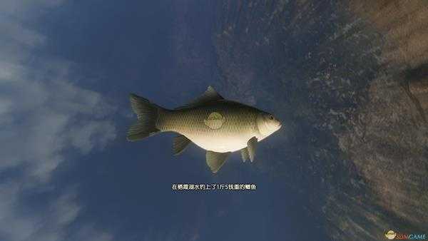 《古剑奇谭3》栖霞钓鱼点可钓鱼种类一览