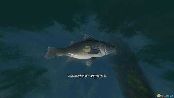 《古剑奇谭3》湖水岸钓鱼点可钓鱼种类一览