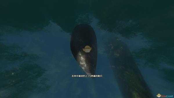 《古剑奇谭3》湖水岸钓鱼点可钓鱼种类一览