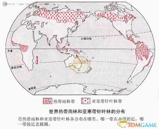 《森林》V1.0版剧情线索整理（第二篇）