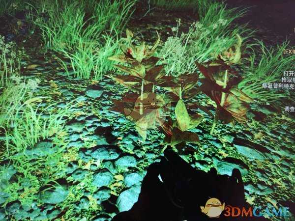 《辐射76》爆竹浆果收集地点分享