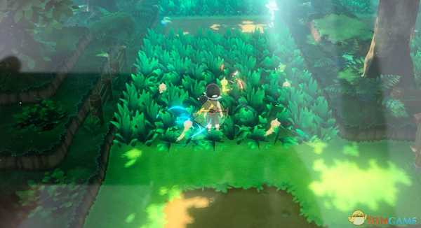 《精灵宝可梦LetsGo皮卡丘伊布》刷闪光大针蜂及闪光独角虫位置分享