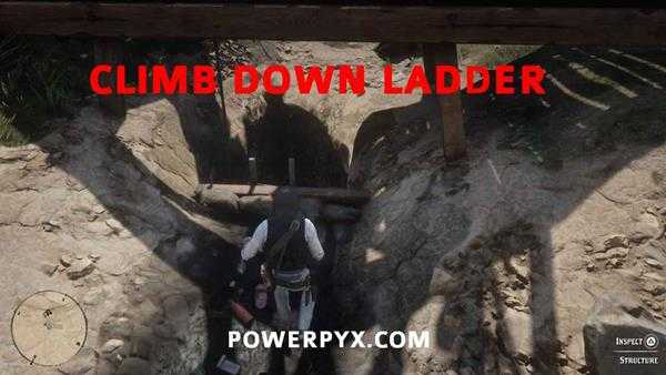 《荒野大镖客2》恐龙骨头全收集 恐龙化石全收集攻略分享