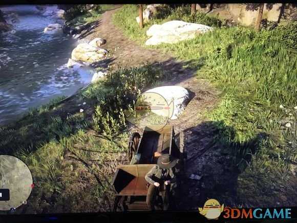 《荒野大镖客2》线上模式用马车钓狗鱼刷钱技巧指南