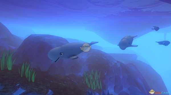 《海底大猎杀》全鱼类图鉴一览