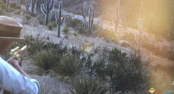 《荒野大镖客2》线上模式风滚草镇刷狮子位置分享