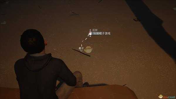 《奇异人生2》全成就指南