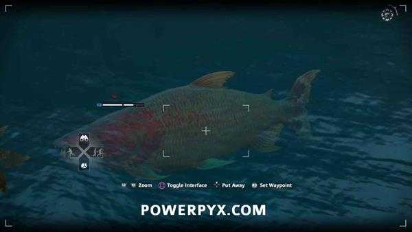 《孤岛惊魂：新曙光》恶魔鱼狩猎位置指南