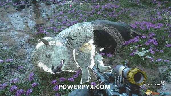 《孤岛惊魂：新曙光》野牛狩猎位置指南