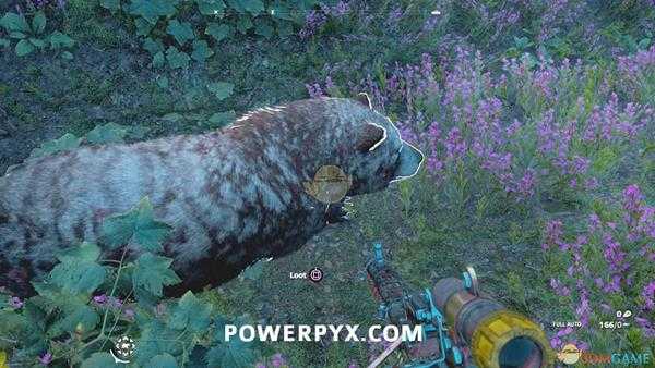 《孤岛惊魂：新曙光》灰熊狩猎位置指南