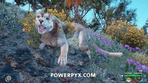 《孤岛惊魂:新曙光》美洲狮狩猎位置指南