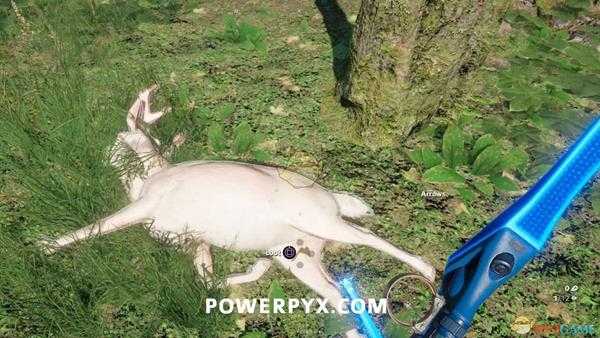 《孤岛惊魂：新曙光》鹿狩猎位置指南