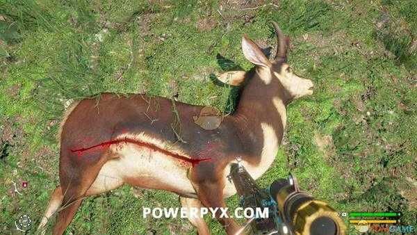 《孤岛惊魂：新曙光》叉角羚狩猎位置指南