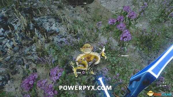 《孤岛惊魂：新曙光》野兔狩猎位置指南