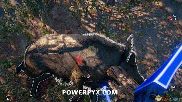 《孤岛惊魂：新曙光》野猪狩猎位置指南