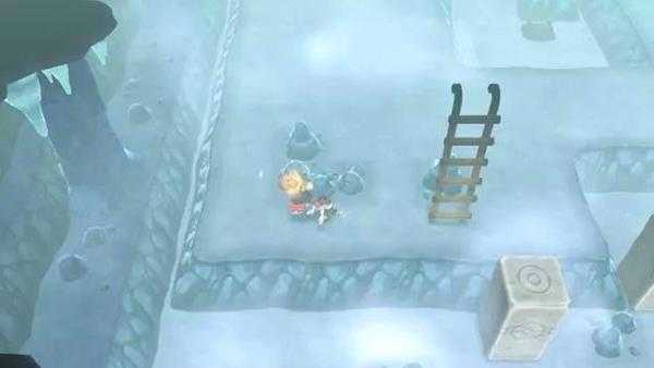 ns宝可梦双子岛怎么推石头