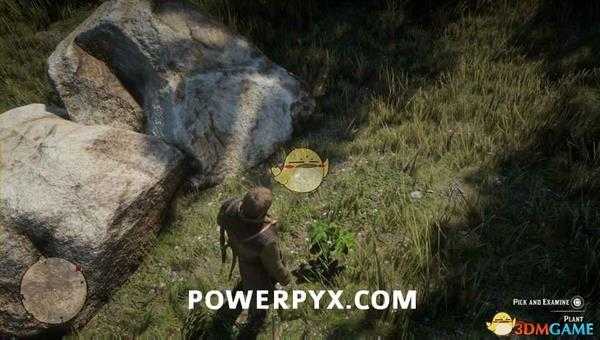 《荒野大镖客2》花旗参采集位置介绍