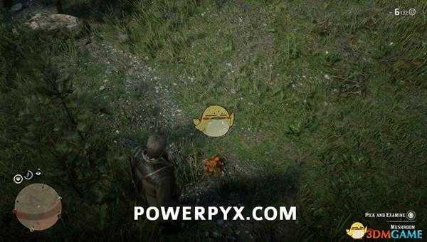 《荒野大镖客2》褐绒盖牛肝菌采集位置介绍
