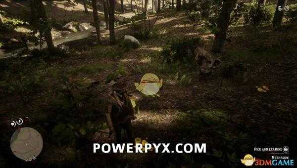 《荒野大镖客2》鸡油菌采集位置介绍