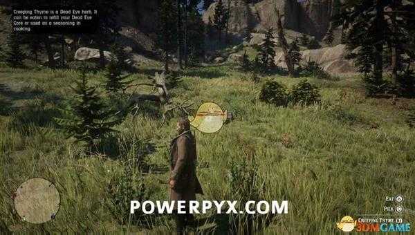 《荒野大镖客2》红花百里香采集位置介绍