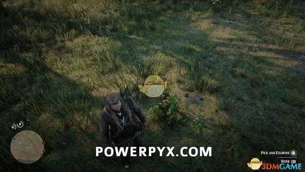 《荒野大镖客2》奥勒冈叶采集位置介绍