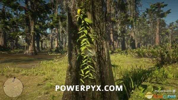 《荒野大镖客2》香荚兰花采集位置介绍